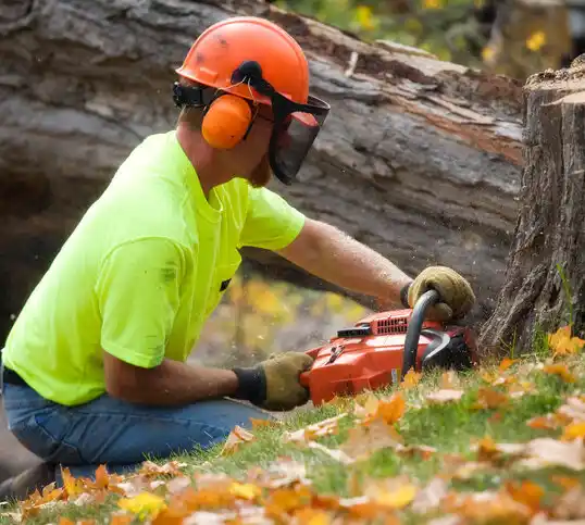 tree services Ossun